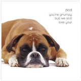 Humour photographic Father's Day greeting card by UK Greetings featuring a funny design and heartfelt message.
