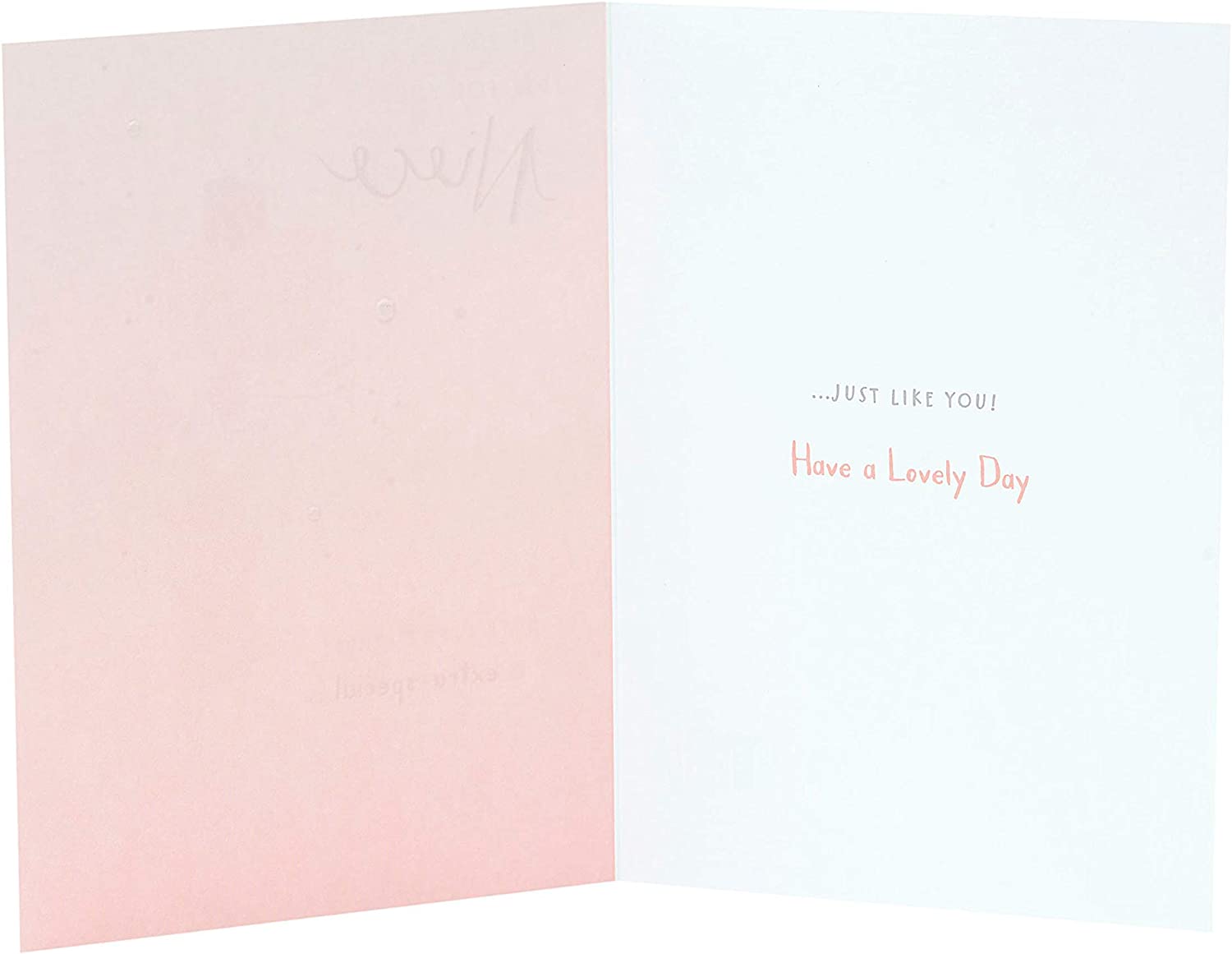 UK Greetings Just for You Niece Cute Nutmeg birthday card featuring colorful floral design and playful lettering.
