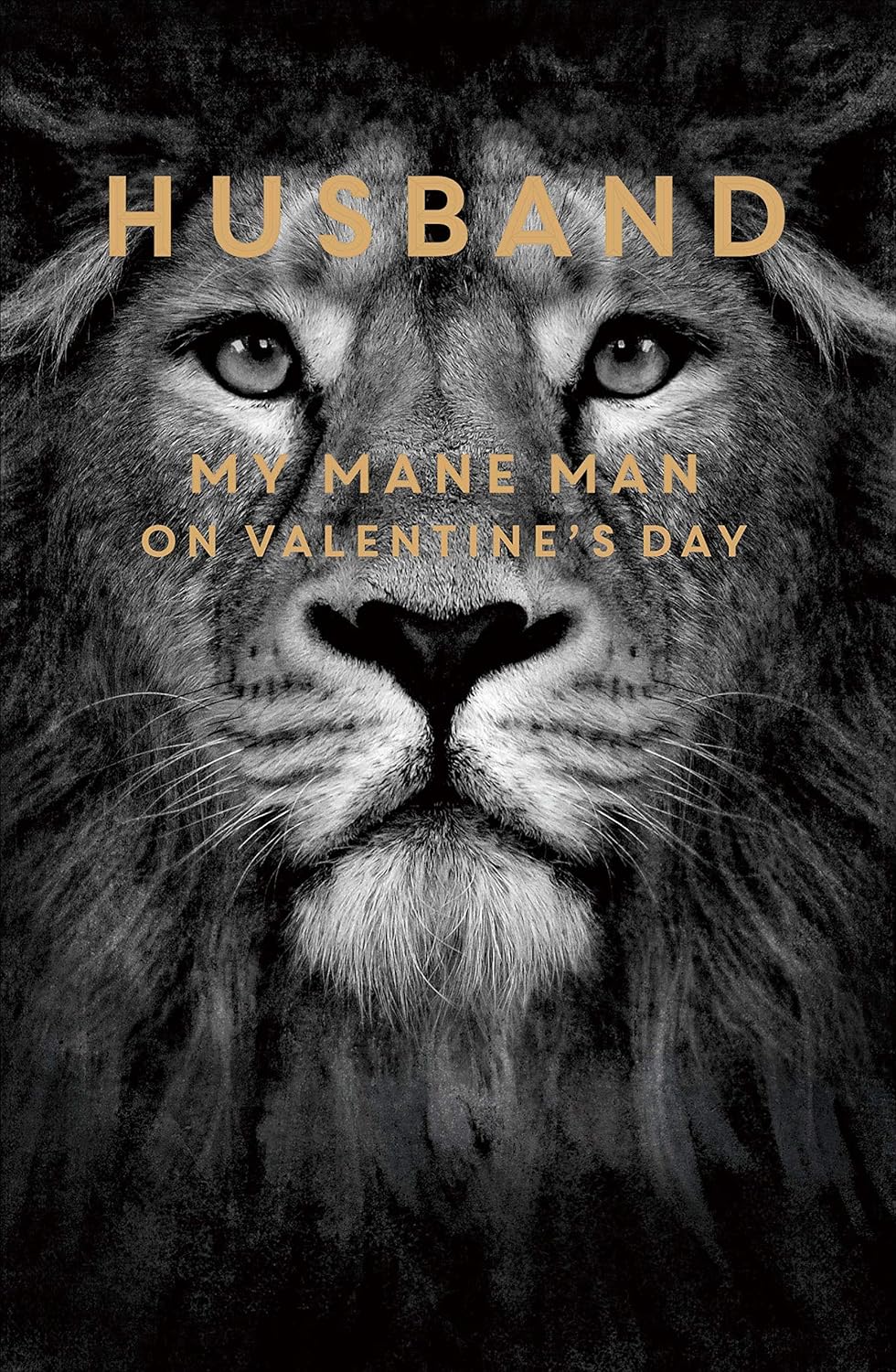 UK Greetings Lion Valentine’s Day Card for Husband featuring a cartoon lion and heartfelt message for My Mane Man.