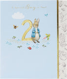 UK Greetings Peter Rabbit birthday greeting card for a special boy, featuring colorful illustrations of Peter Rabbit.