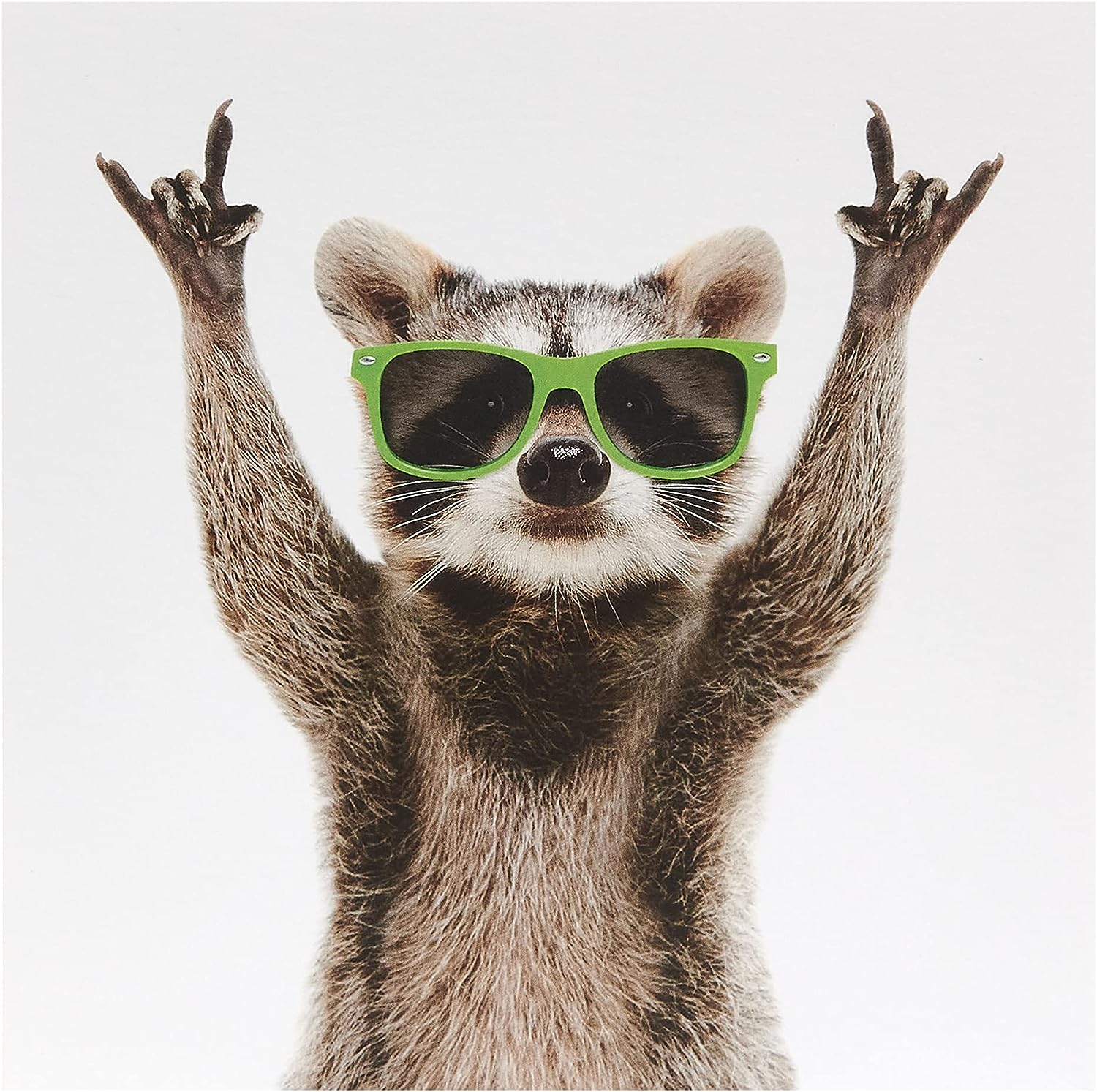 UK Greetings raccoon design birthday card featuring a cute raccoon illustration, perfect for celebrating special occasions.