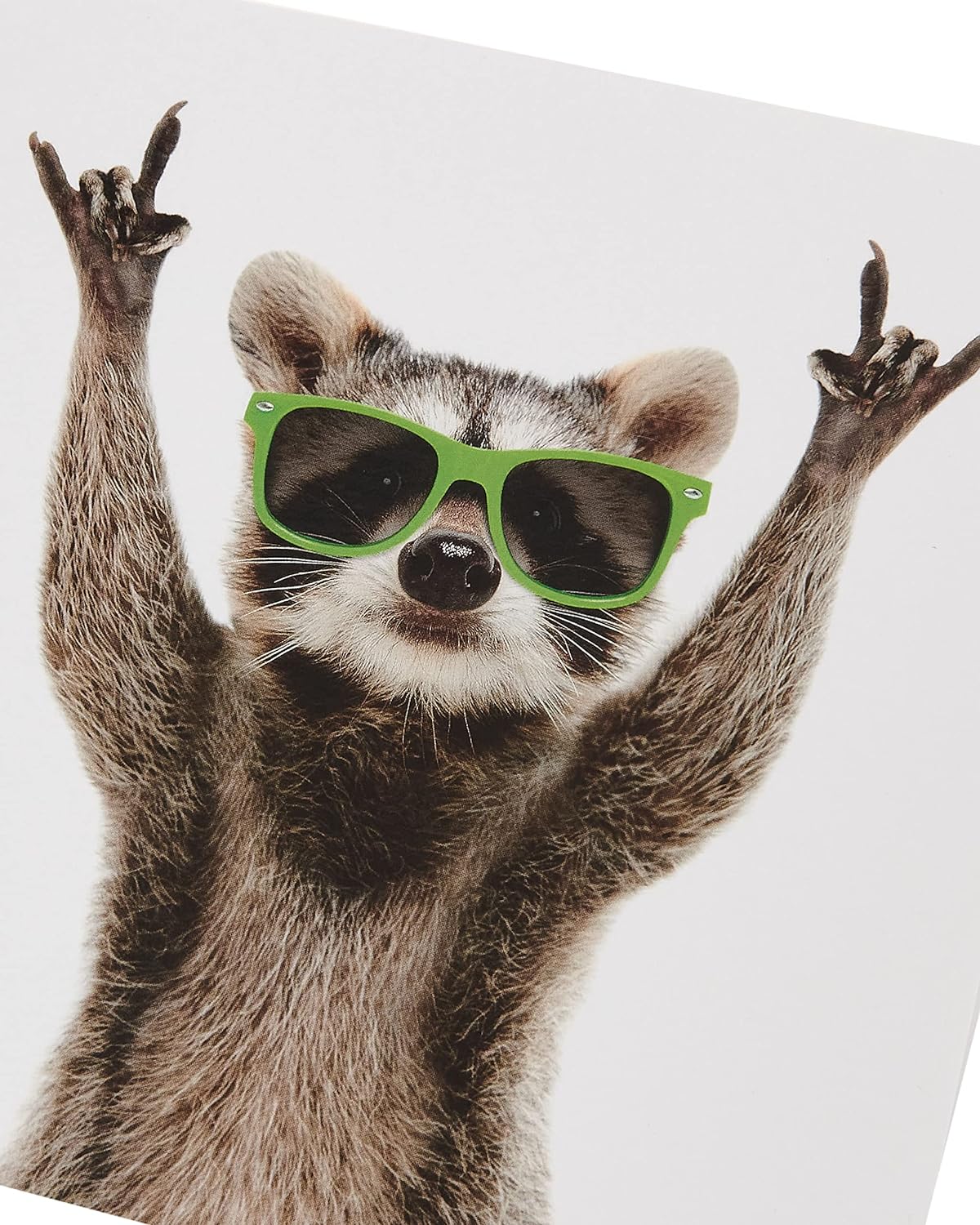 UK Greetings raccoon design birthday greeting card featuring adorable raccoon illustration and colorful festive elements.