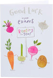 UK Greetings Rooting for You Good Luck Exams Card featuring colorful, uplifting design for students taking exams.