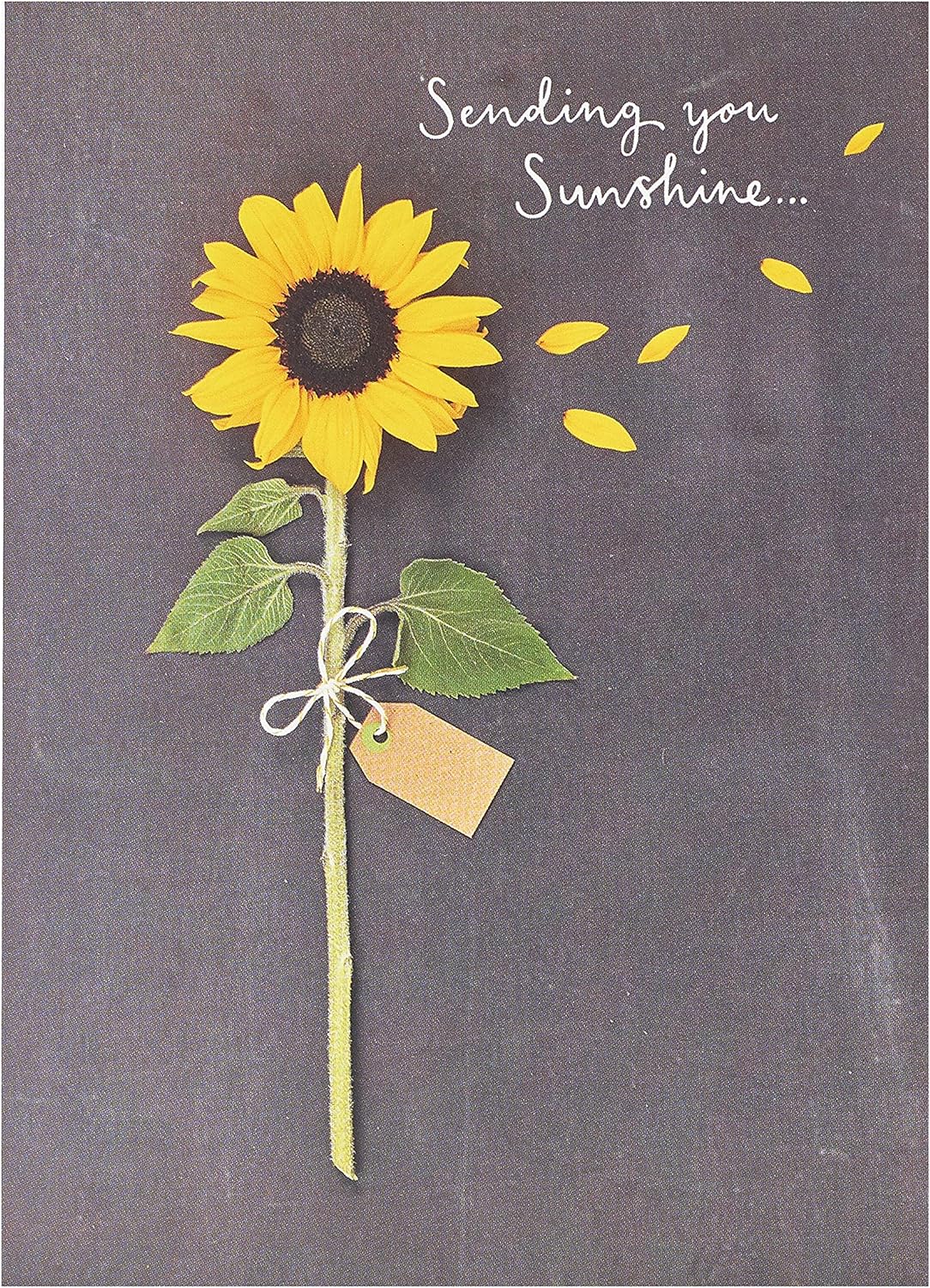 UK Greetings Sending You Sunshine sunflower design greeting card with bright sunflower illustration and cheerful message.