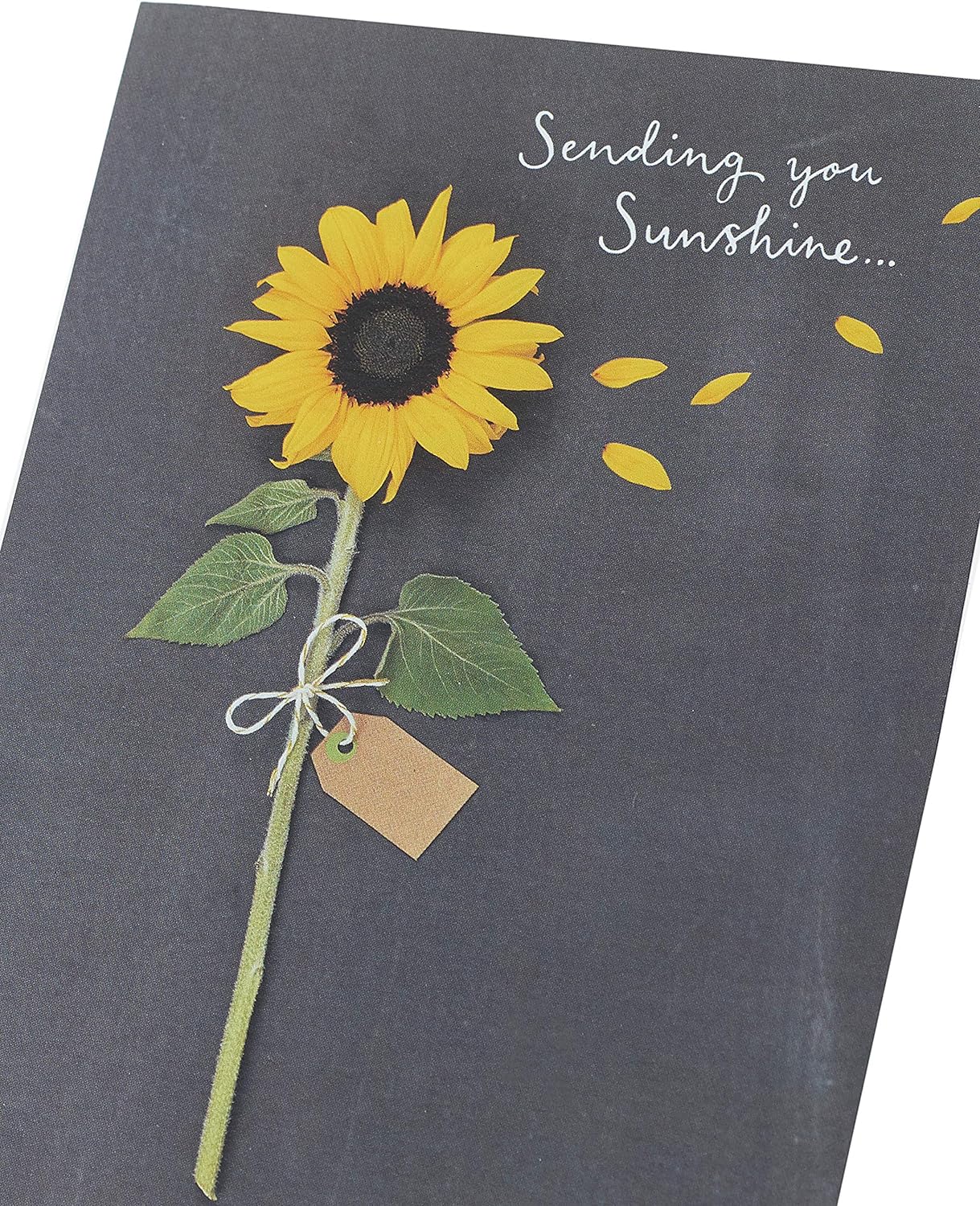 UK Greetings sunflower greeting card featuring bright sunflower design, perfect for sending sunshine and cheerful messages.