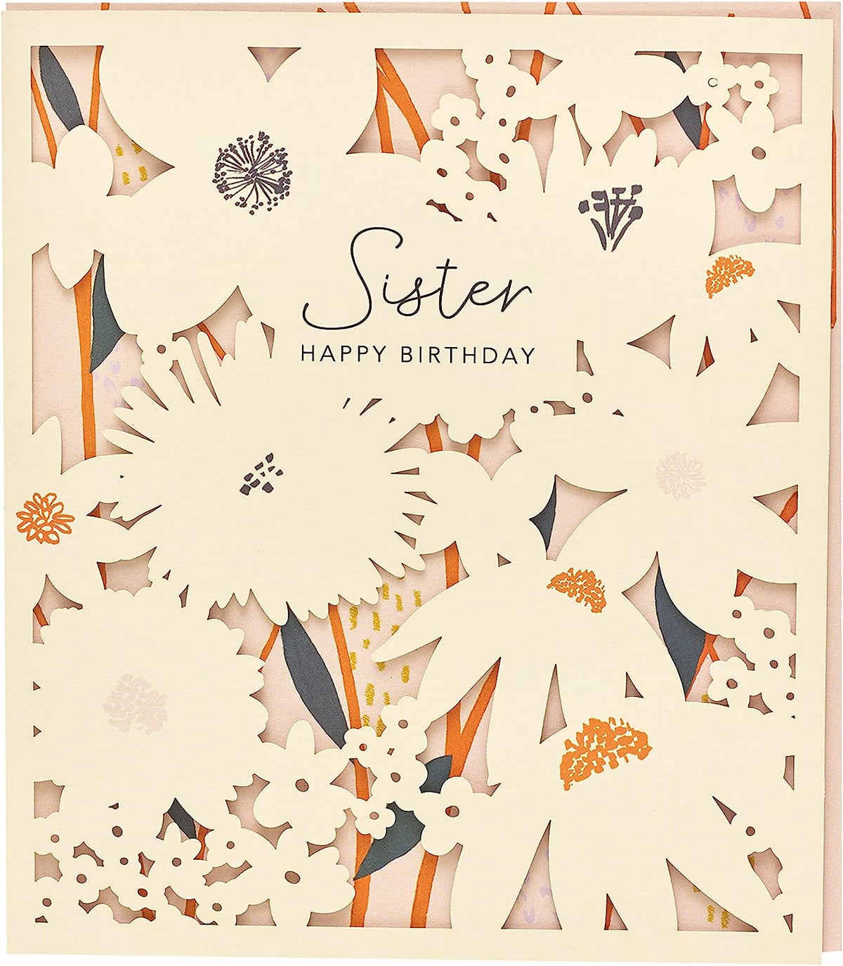 UK Greetings Sister Birthday Card featuring colorful floral design and heartfelt message for celebrating a sister's special day.