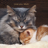 UK Greetings Sleepy Cat and Kitten Mother's Day Card featuring a cozy cat and kitten illustration on a greeting card.