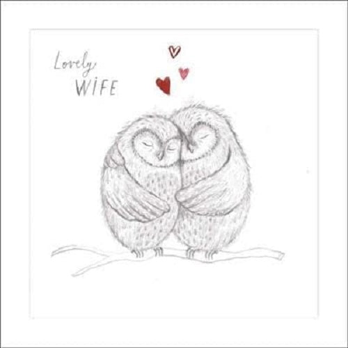 UK Greetings Two Owls on a Branch birthday greeting card featuring cute owls, perfect for celebrating a lovely wife's birthday.