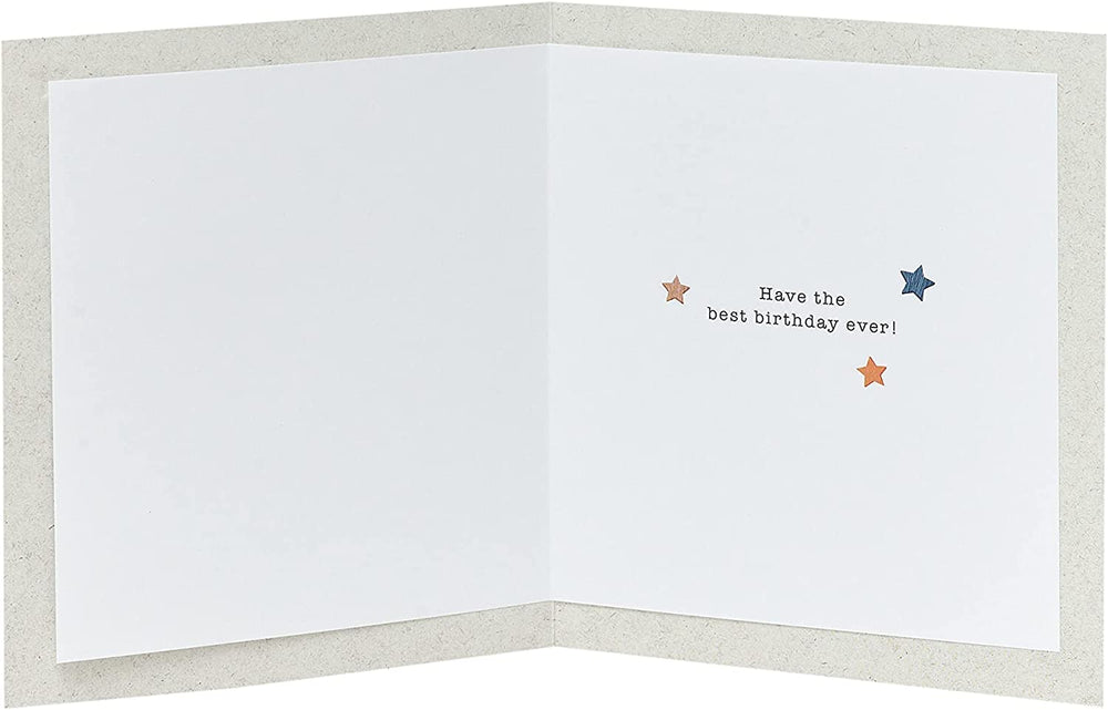 UK Greetings Very Special Nephew Boofle birthday card featuring colorful illustrations and cheerful design for celebrating a nephew.