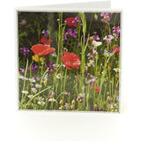 UK Greetings Wild Poppy photographic birthday card featuring vibrant wild poppy flowers on a blank greeting card.