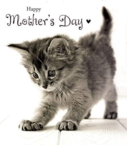 UK Greetings Cat Mother's Day Card featuring adorable cat illustration on festive stationery for celebrating moms.