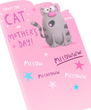 UK Greetings funny Mother's Day card from the Cat featuring a cute cartoon design for cat lovers, with playful illustrations.