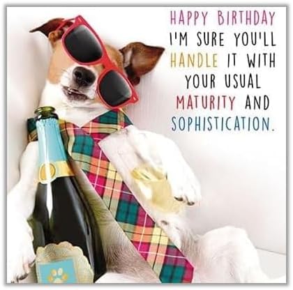 GBCC Male Birthday Card - General Funny Card for Men - Your Usual Maturity and Sophistication - Drunk Dog in Sunglasses - Eco-Friendly & Recyclable