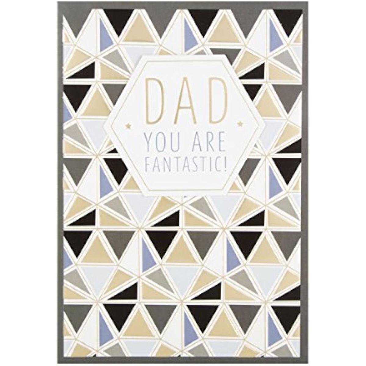 Hallmark Dad Father's Day Card "You Are Fantastic" - Medium