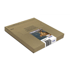 Epson T1306 Stag Cyan Magenta Yellow High Yield Ink Cartridge Multipack 3 x 10.1ml (Pack 3) - C13T13064510