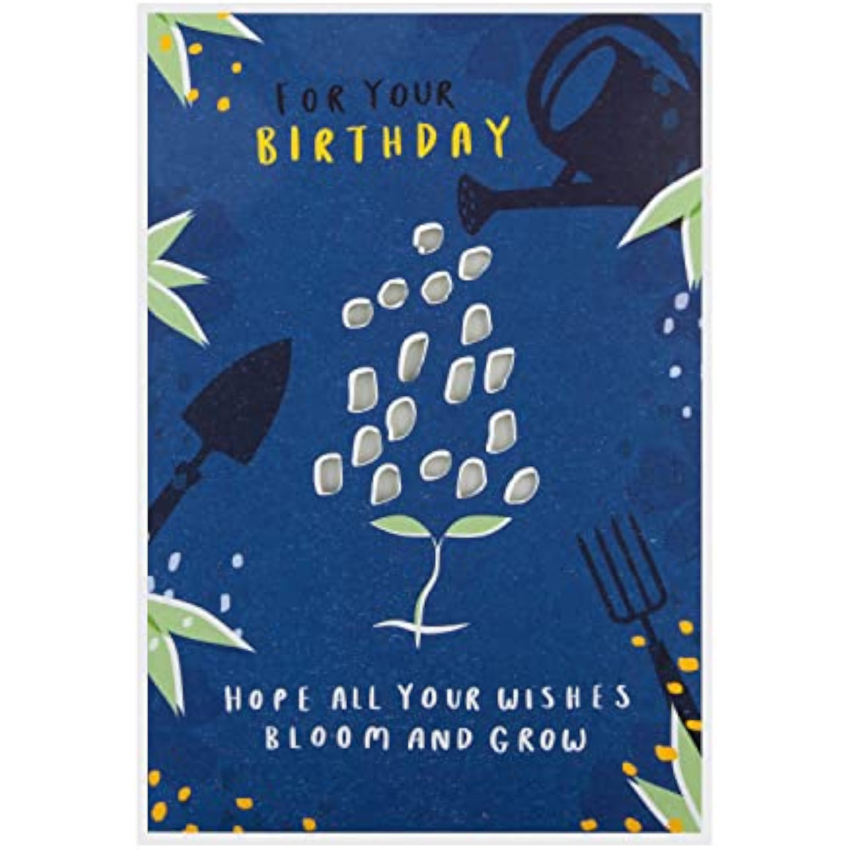 Contemporary Garden Design with Seeded Paper Insert Birthday Card