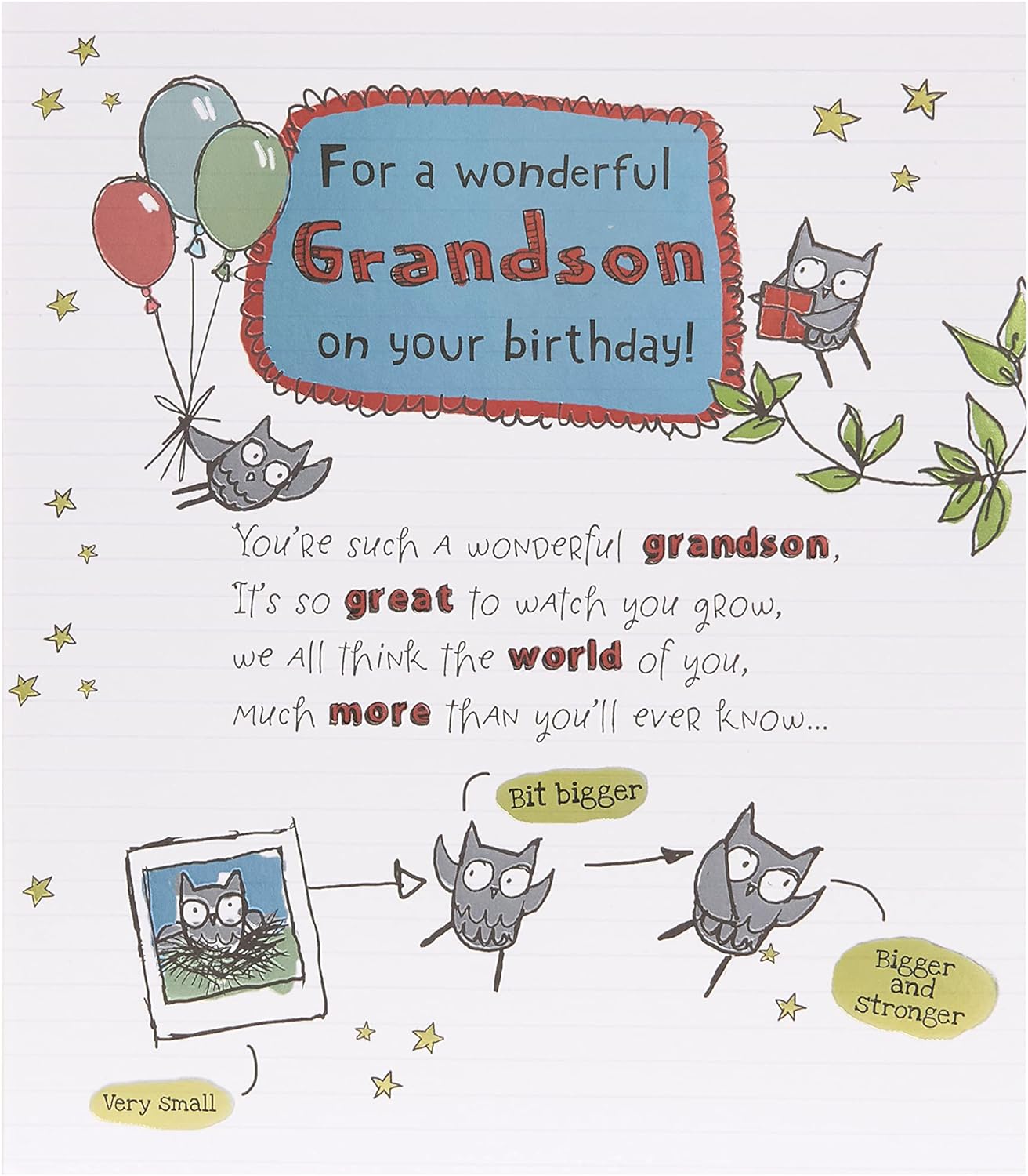 Owl Illustration and Sentimental Verse Birthday Card for Grandson