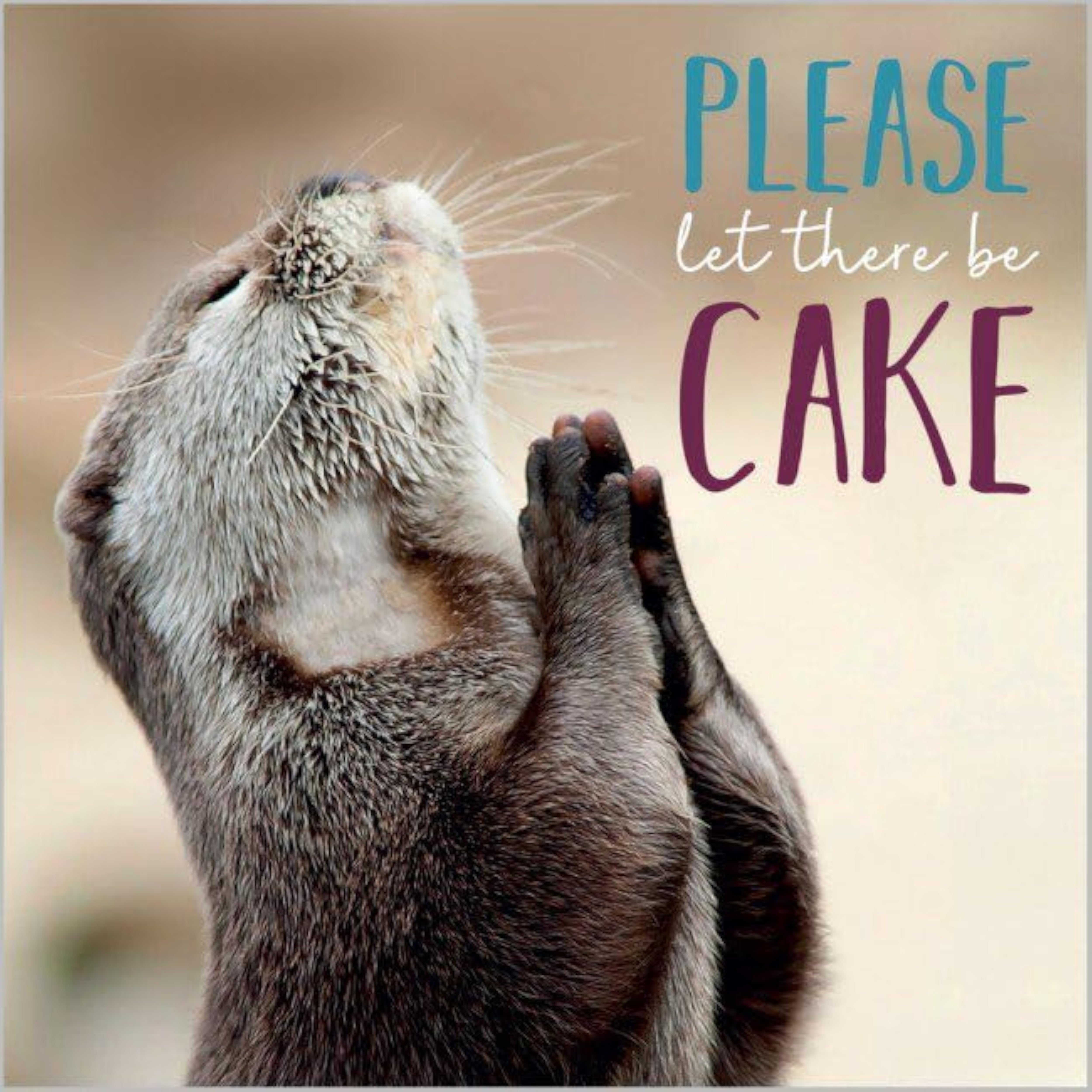 Photographic Praying Otter Birthday Card