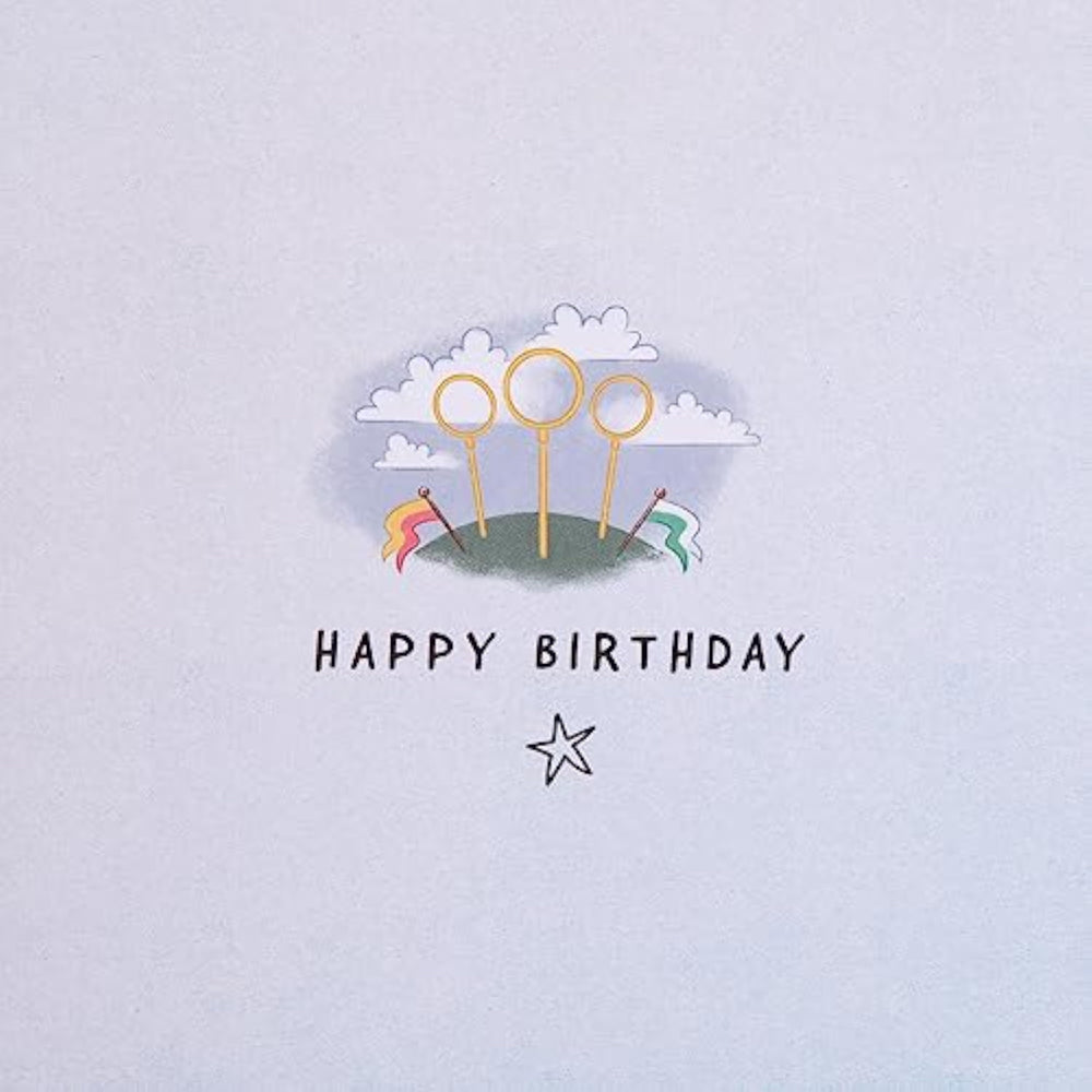 Warner Brother Harry Potter Hedwig Owl with Maze Activity Birthday Card