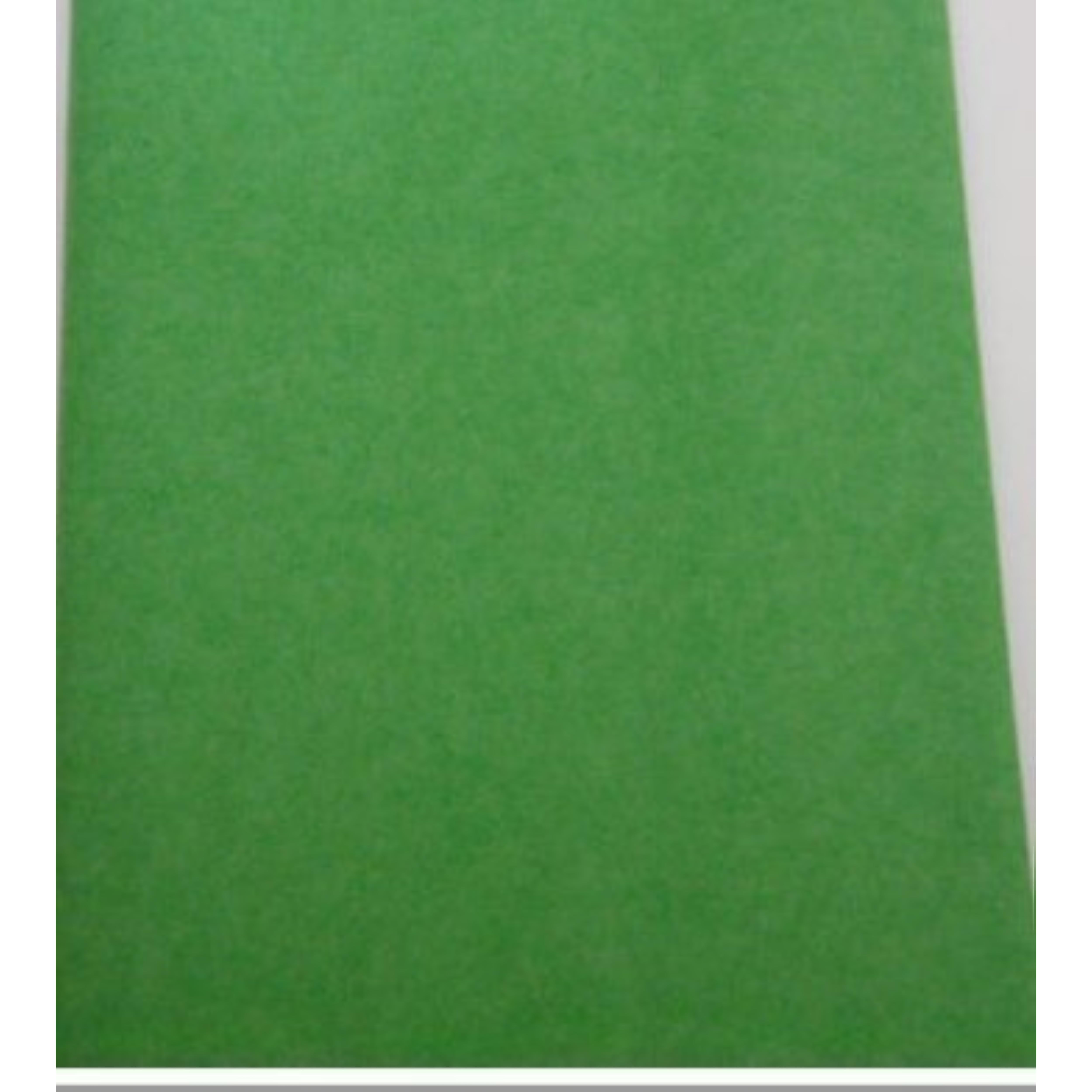 Light Green Tissue Paper 10 Sheets