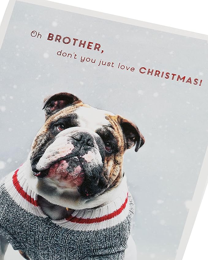 Bulldog in Christmas jumper-Brother Christmas Card