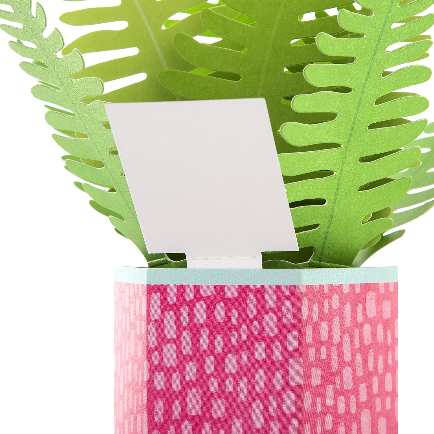 Pop-Up Plant 'Paper Wonder' Mother’s Day Card – Unique & Delightful 3D Greeting