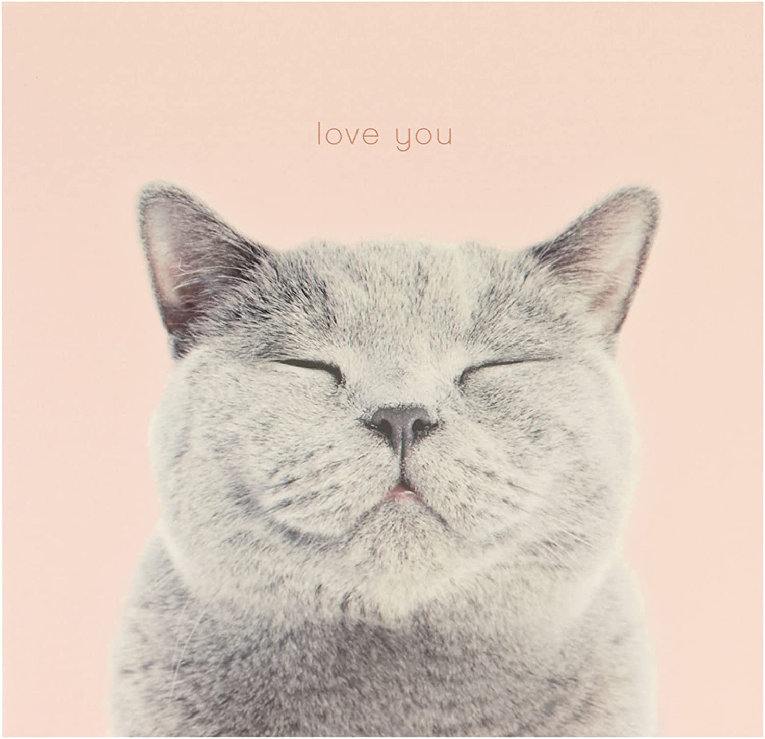 Cat Smiling Valentine’s Day Card For Her