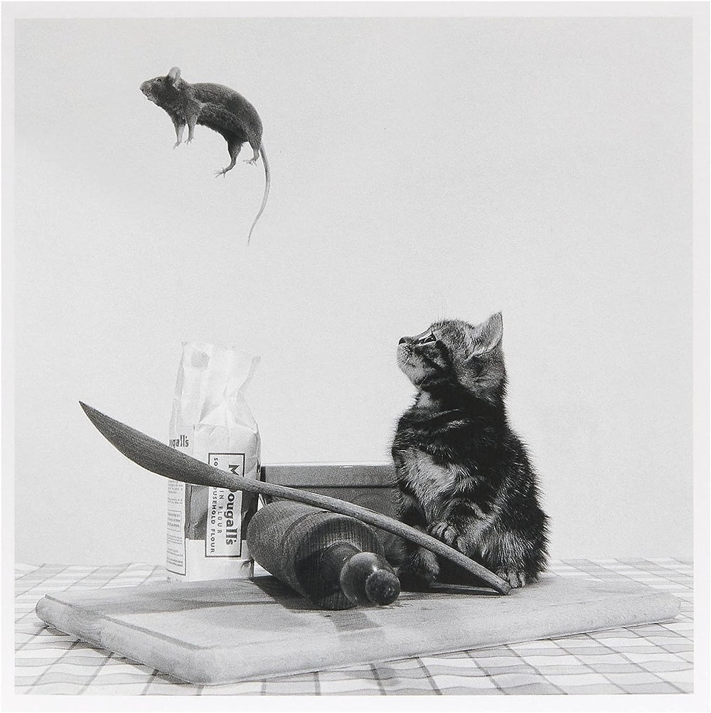 Birthday Card for Him/Her/Friend - Cat & Mouse Design