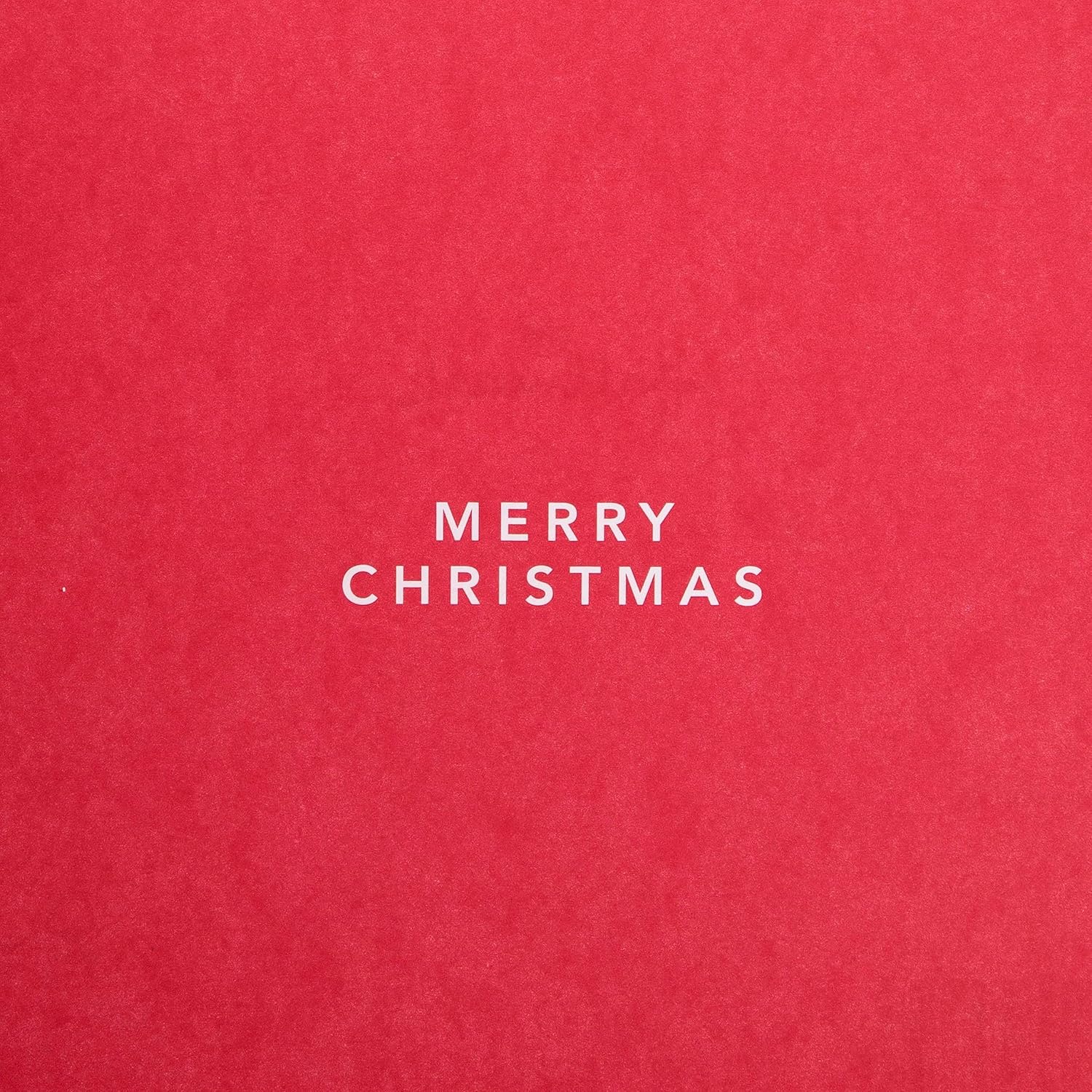 Dad Christmas Greeting Card from Pets with Festive Cute Design and Loving Wishes