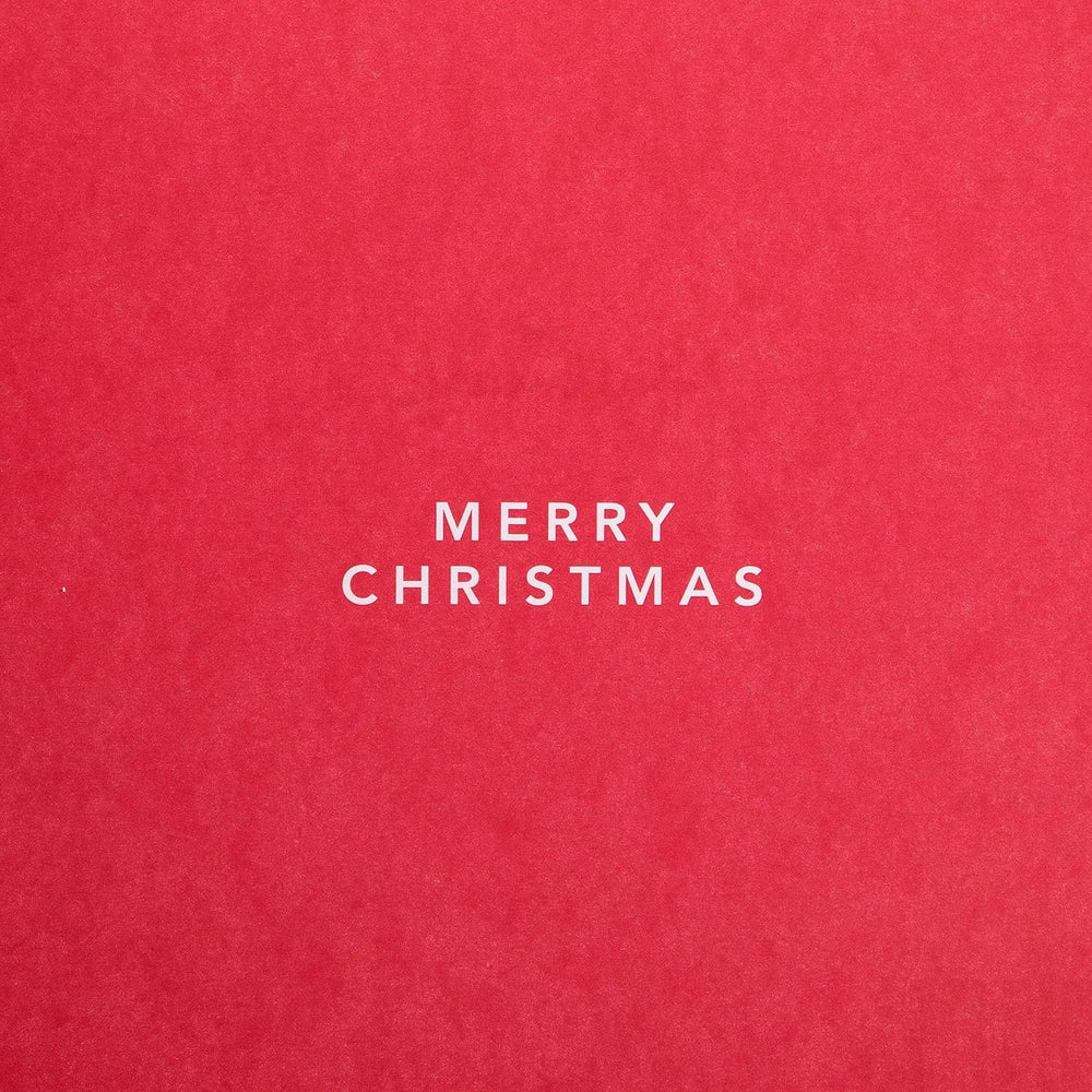 Dad Christmas Greeting Card from Pets with Festive Cute Design and Loving Wishes
