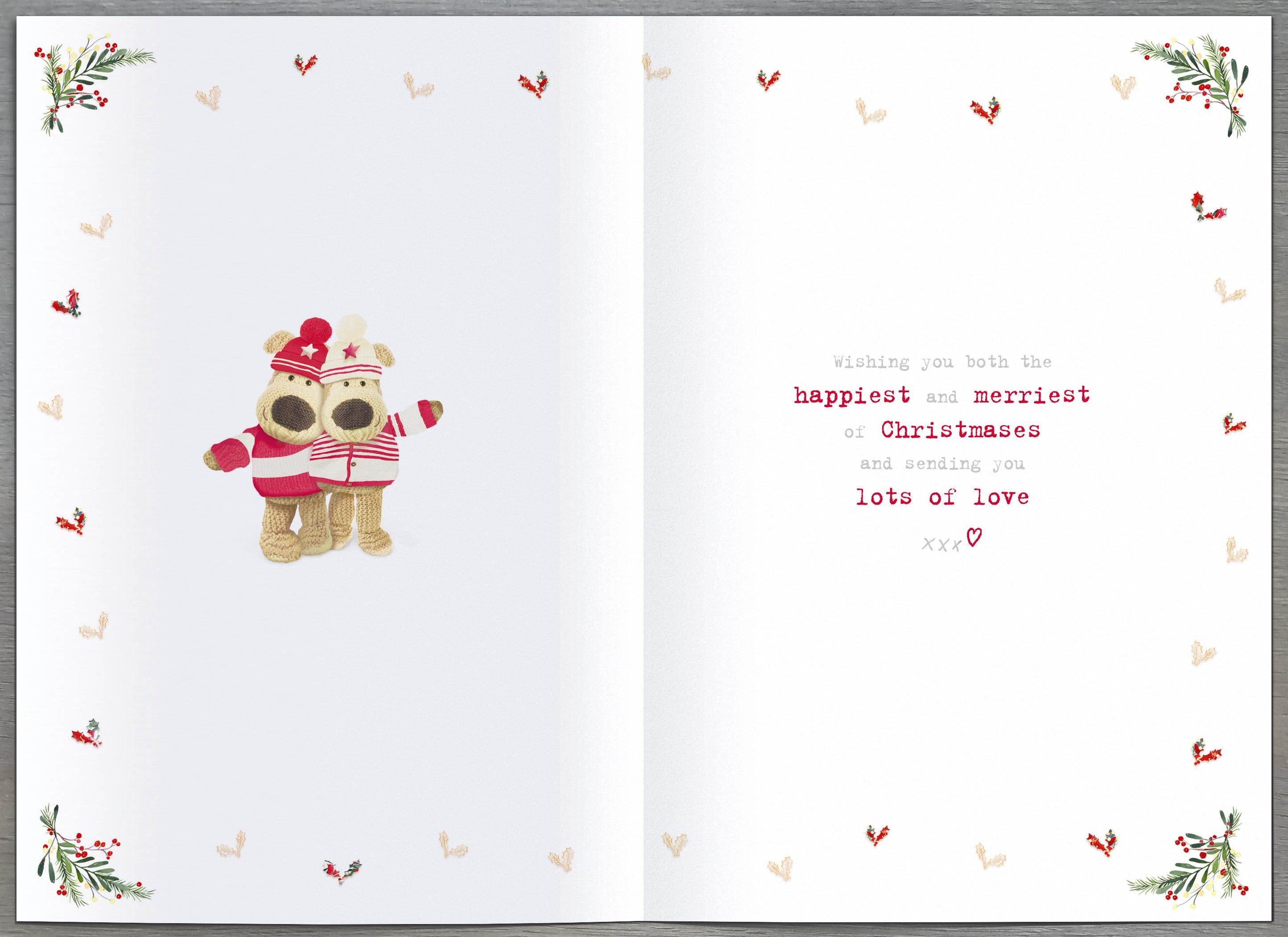 Boofles standing on ladder hanging -Sister & Partner Christmas Card