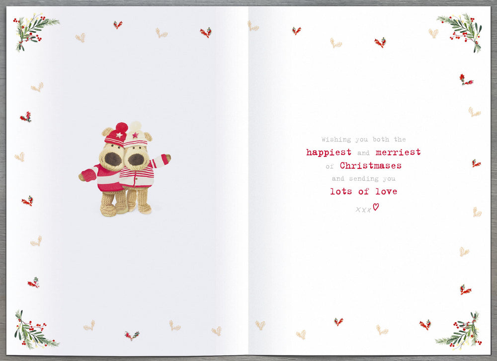 Boofles standing on ladder hanging -Sister & Partner Christmas Card