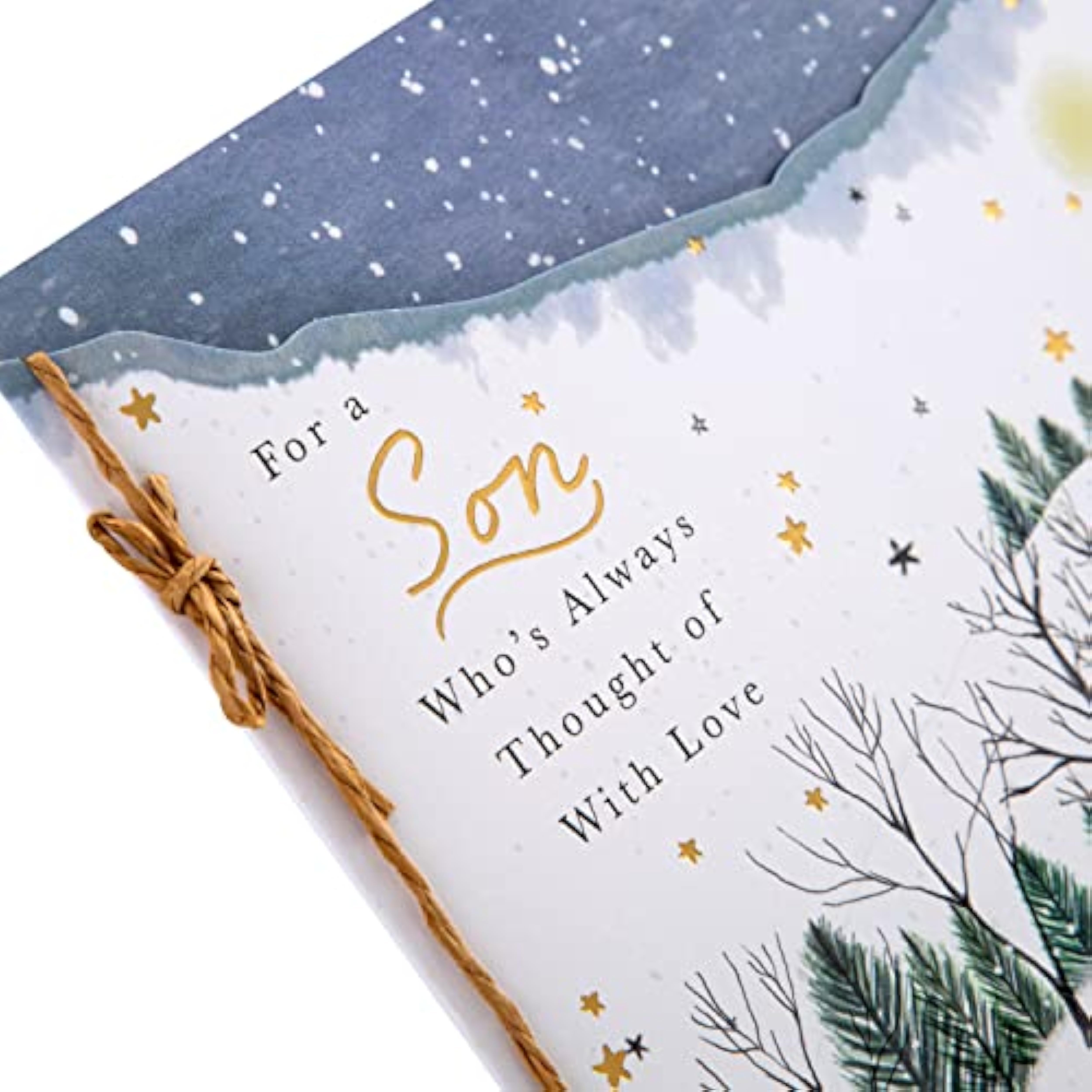 Son Christmas Greeting Card with Traditional Winter Foxes Illustration and Festive Design