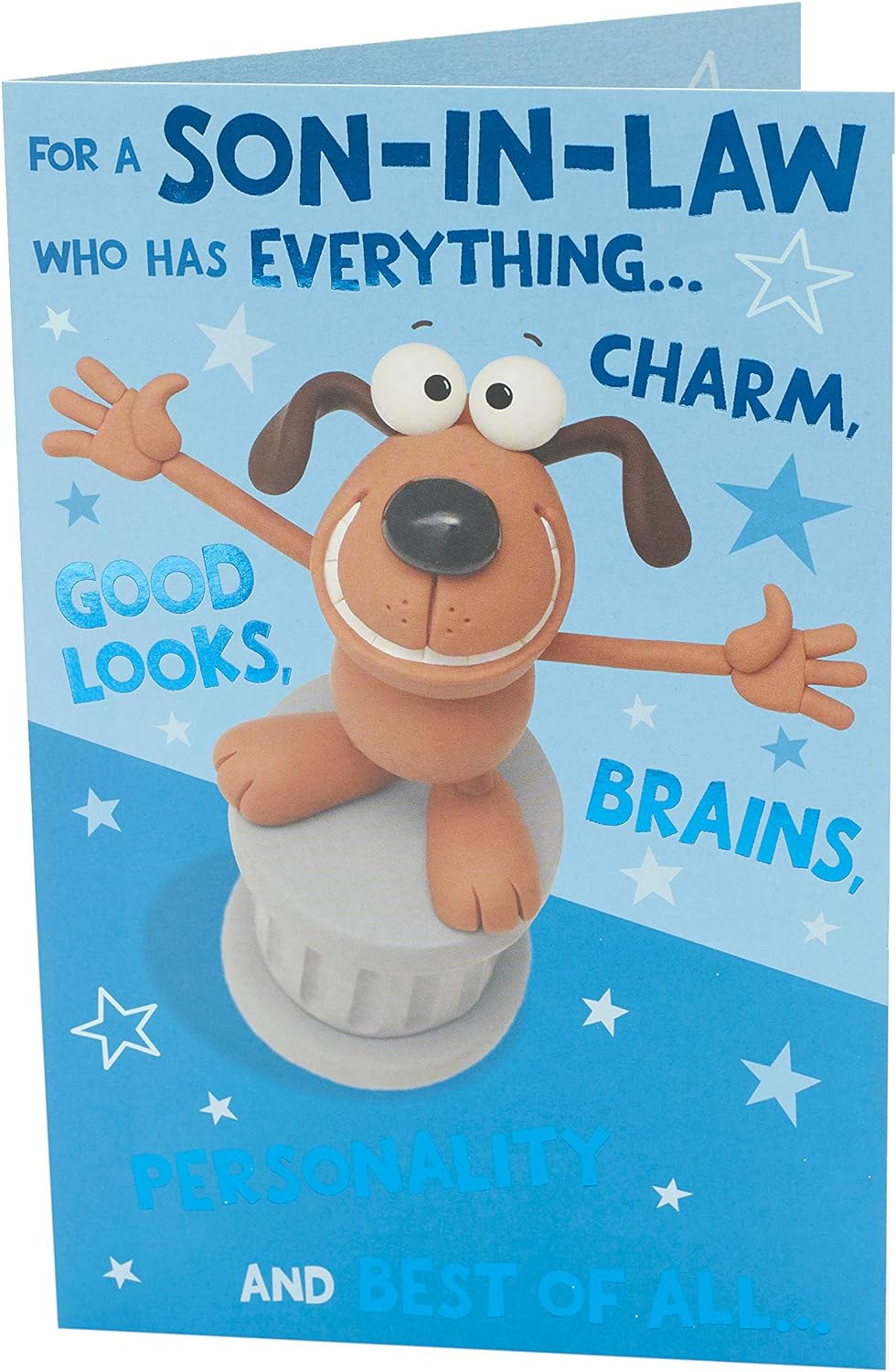 Funny Son in Law Birthday Card